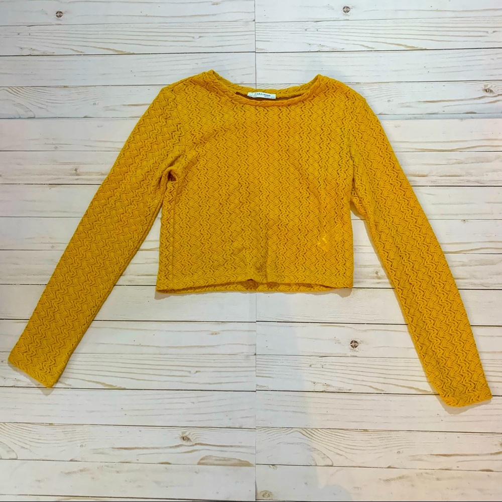 Zara Trafaluc Long Sleeve Sheer Yellow Crop Top- S